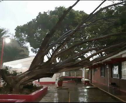 Implementa CEPCO operativo por lluvias fuertes en Oaxaca