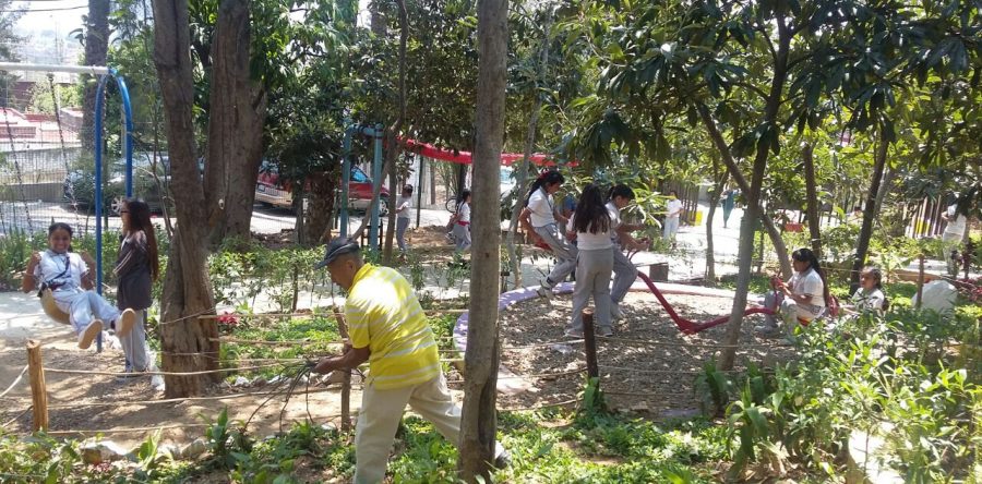 Implementan actividades para infantes y adultos mayores en Parque “Del Agua Centenario”
