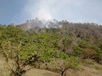 Incendio Forestal en Sierra Norte controlado en un 55 por ciento