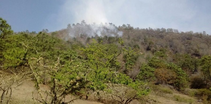 Incendio Forestal en Sierra Norte controlado en un 55 por ciento