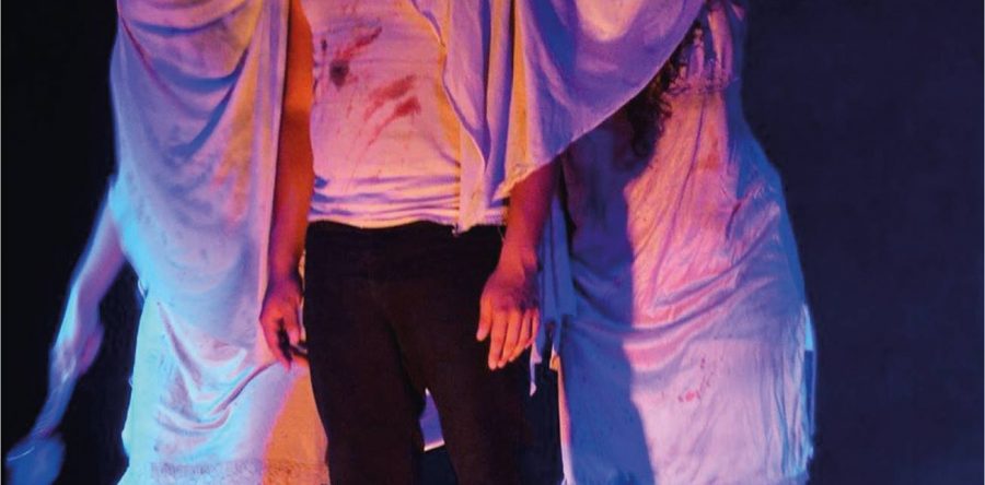 Invita Seculta a la presentación de la obra “El Caballo con Alas y dos cucharas”