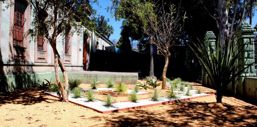 Archivo Histórico Municipal un espacio para visitar