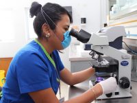 Registra Oaxaca 764 casos nuevos de tuberculosis al año