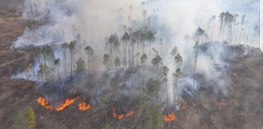 Vuelve a echar fuego Antorcha Campesina entre Mixtepec y Yosoñama