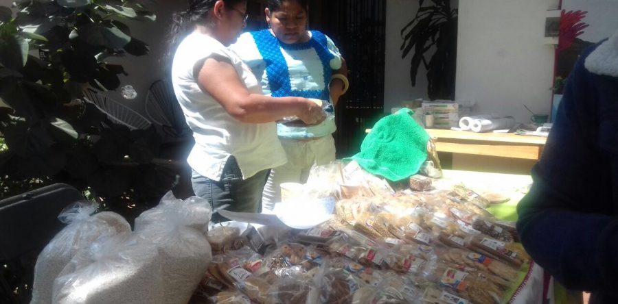 Advierten sobre incremento de padecimientos crónicos por mala alimentación