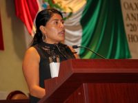 En riesgo de exterminio pueblos indígenas por desplazamientos: ECM