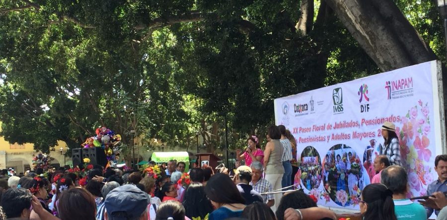 Jubilados del IMSS realizan su paseo floral