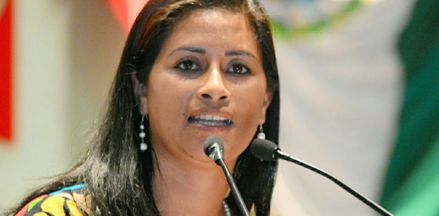 Mujer y medio ambiente: dos causas en un cauce:  Paola Gutiérrez Galindo