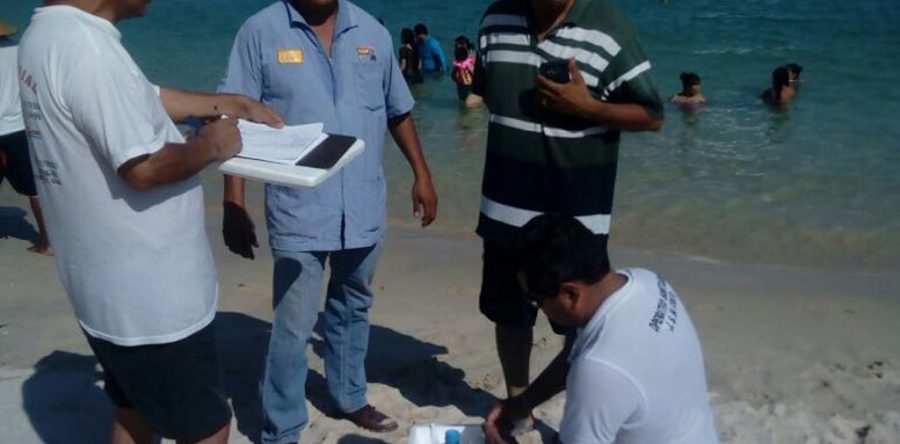 Playas limpias y listas para recibir a turistas: SSO