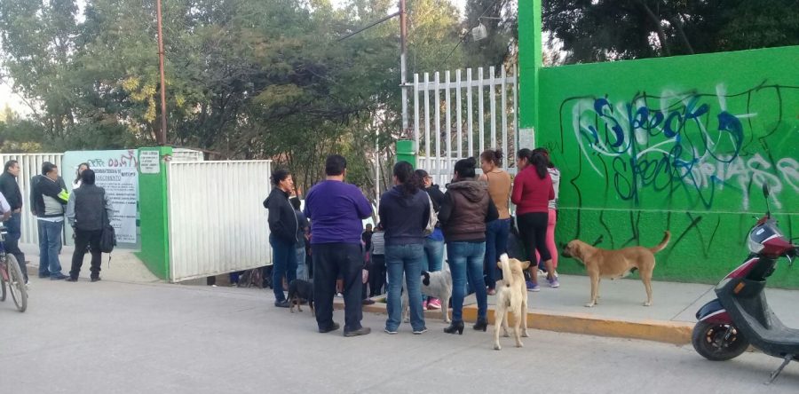 Reinician clases en Secundaria Técnica 100 en San Antonio de la Cal