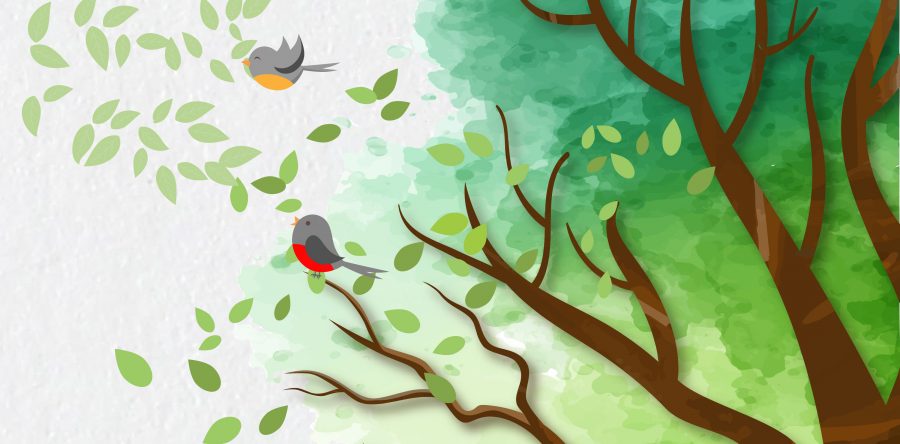 Presentarán tarde de narradores orales en el AGEO