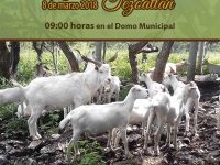 Invita SECTUR Oaxaca a la Expo Agropecuaria Tezoatlán 2018
