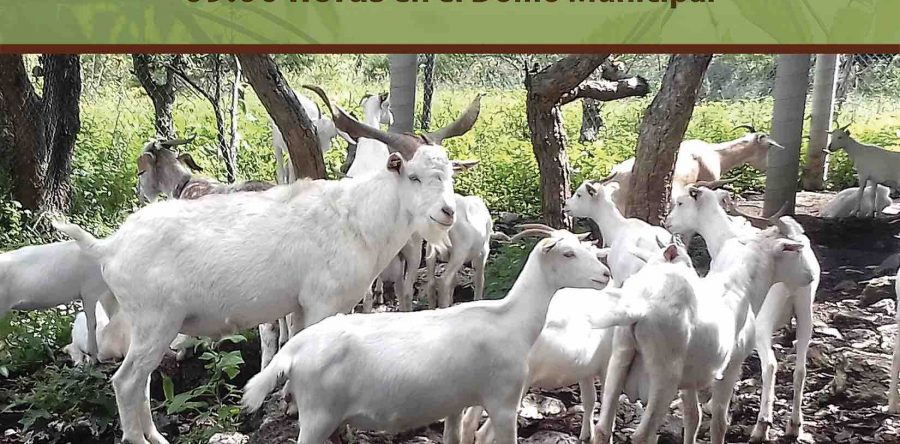 Invita SECTUR Oaxaca a la Expo Agropecuaria Tezoatlán 2018