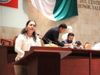 Urgente generar fuentes de empleo para los jóvenes: Laura Vignon