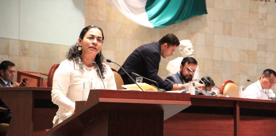 Urgente generar fuentes de empleo para los jóvenes: Laura Vignon