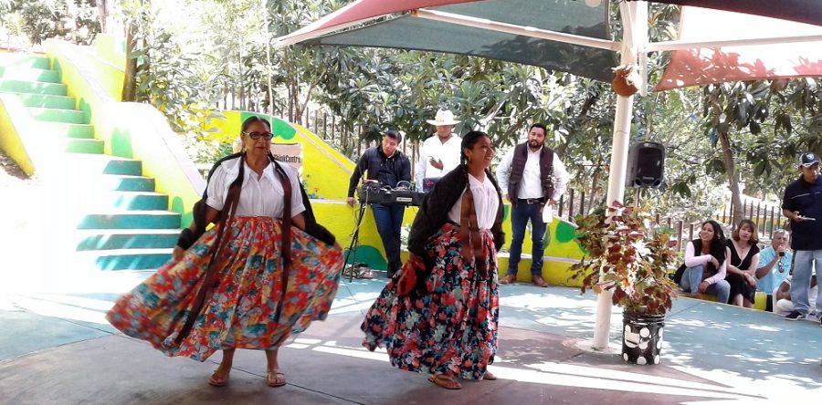 Genera Gobierno del Estado espacios para el disfrute de adultos mayores