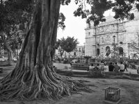 Oaxaca y el paso del tiempo: Luis Octavio Murat
