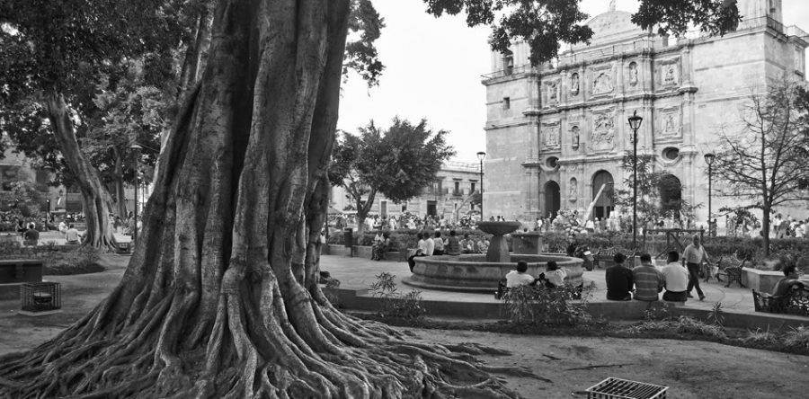 Oaxaca y el paso del tiempo: Luis Octavio Murat
