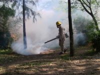 Celebra SSO un lustro sin paludismo