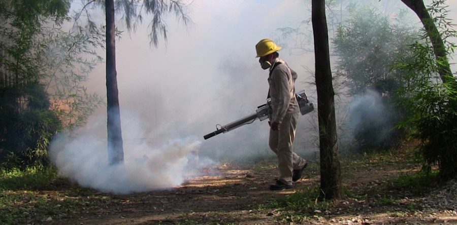 Celebra SSO un lustro sin paludismo
