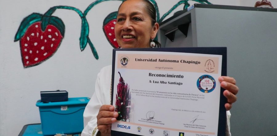 Cursos de Icapet buscan consolidar el consumo y cultivo de amaranto en Oaxaca