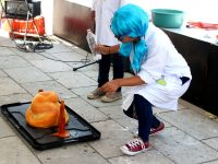 Celebran el Día de la Ciencia, Tecnología y Educación en la Plaza de la Danza