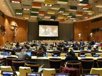 Gobierno de Oaxaca informa ante la ONU acciones en pro de las mujeres