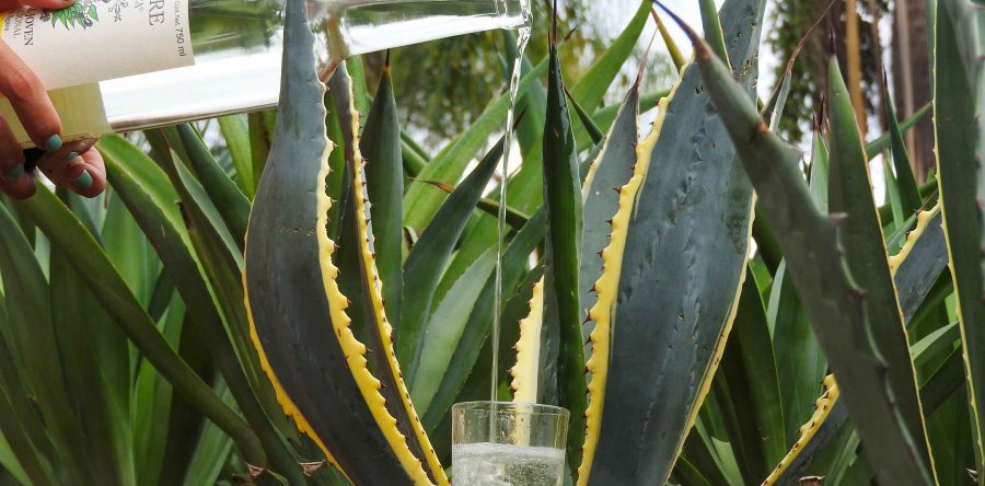 Oaxaca, presente en Hannover Messe, la feria industrial más importante del mundo