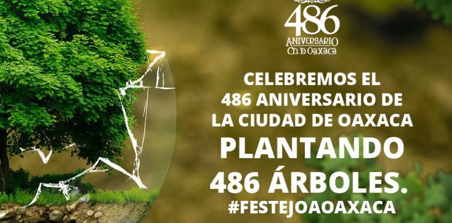 Plantarán árboles para conmemorar el 486  aniversario de la ciudad