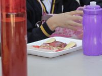 Un refrigerio escolar saludable ayuda al desarrollo de los niños: IEEPO