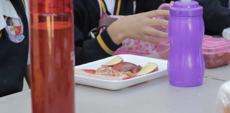 Un refrigerio escolar saludable ayuda al desarrollo de los niños: IEEPO