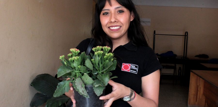 Intercambian plantas por botellas recicladas