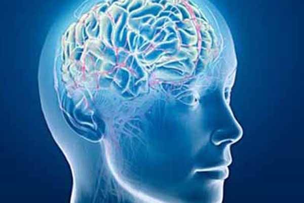 La salud física y mental del gobernante: Luis Octavio Murat