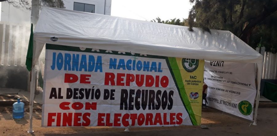 Organizaciones se instalan en plantón en Sedesol ante falta de recursos