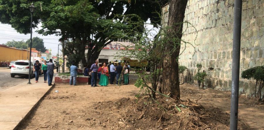 Denuncian colonos de los 7 Príncipes obras no autorizadas