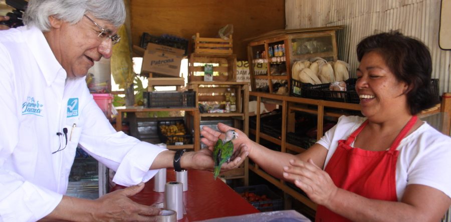 Irresponsable anticipar triunfos electorales: Raúl Castellanos