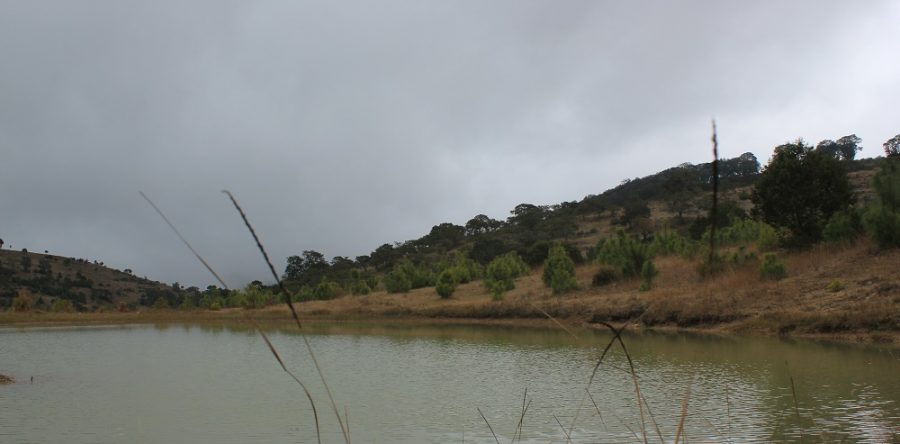 Aumentará actividad de lluvias en Oaxaca: CEPCO