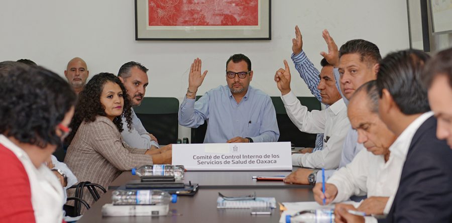 Comité Interno de los SSO buscará optimizar presupuesto asignado al sector