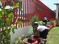 Desarrollan escolares de la Sierra Norte proyecto “Farmacia Viviente” para cultivo de plantas medicinales