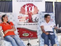 Donación de sangre, un acto altruista en la sociedad