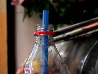 Lanzan llamado para cuidar y preservar el medio ambiente