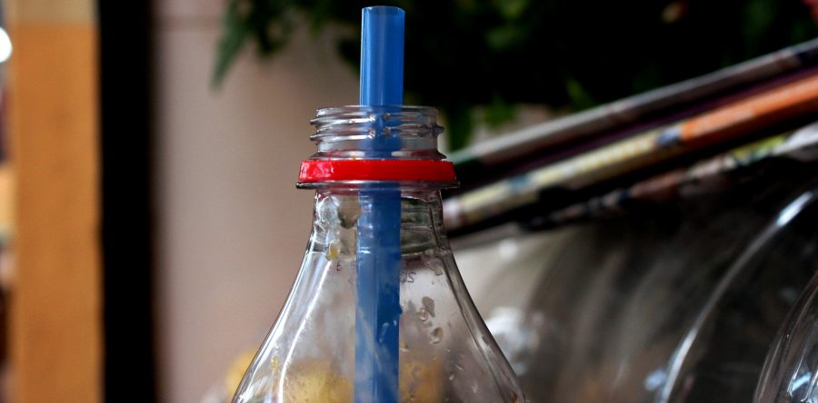 Lanzan llamado para cuidar y preservar el medio ambiente