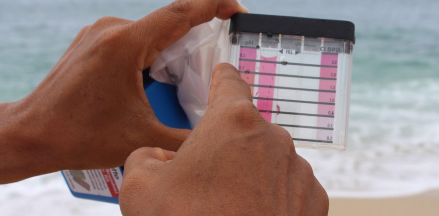 Playas de Oaxaca libres de marea roja: SSO