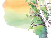 Realizará AGEO programa de narración oral “Los Tlaquetzquis”