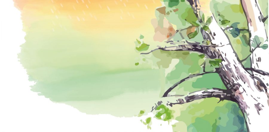 Realizará AGEO programa de narración oral “Los Tlaquetzquis”