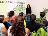 Regalan árboles para conmemorar Día Mundial del Medio Ambiente