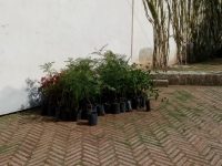 Graves, los efectos del cambio climático