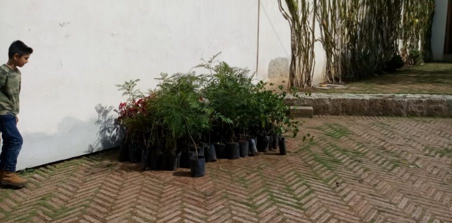 Graves, los efectos del cambio climático