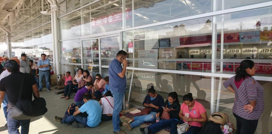 Podría Sección 22 sufrir desbandada ante desgaste por movilizaciones