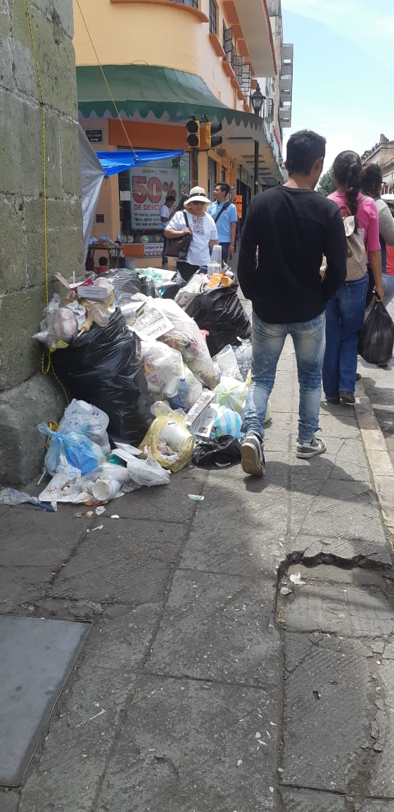 Rodea basura a centro de la ciudad
